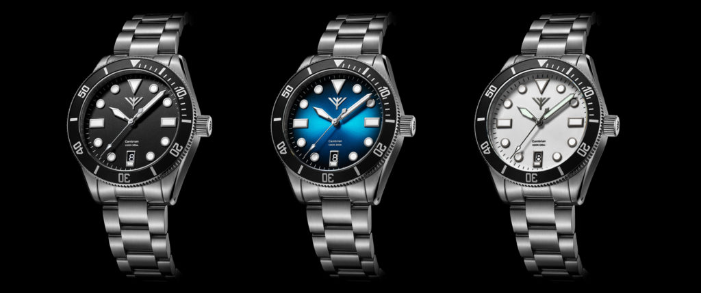 Cambrian – Forteller Watches